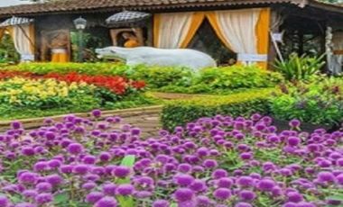 Tanah Kavling Bandung; Lembang Indah View SHM 4jutaan/m