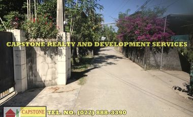 Country Living House and Lot for sale in San Juan, La Union