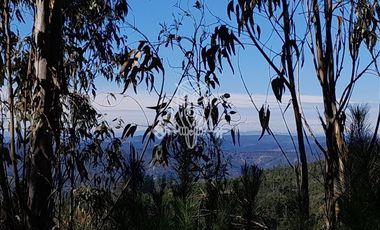 Parcela en Venta en Vichuquén