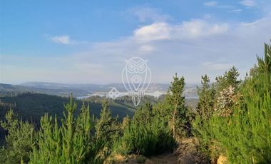 Parcela en Venta en Vichuquén