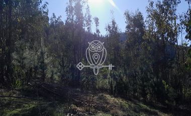 Parcela en Venta en Vichuquén
