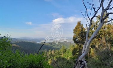 Parcela en Venta en Vichuquén