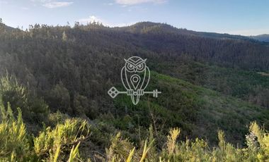 Parcela en Venta en Vichuquén