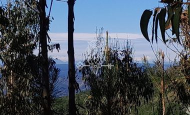 Parcela en Venta en Vichuquén