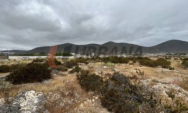 TERRENO PARA PROYECTO LOMAS DEL SAUCE