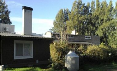 Establecimiento para producción de Kiwi. Ruta 226. El Coyunco.