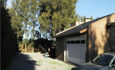 Establecimiento para producción de Kiwi. Ruta 226. El Coyunco.