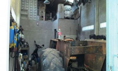 Establecimiento para producción de Kiwi. Ruta 226. El Coyunco.