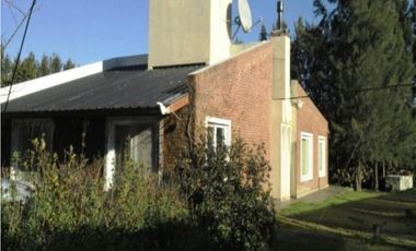 Establecimiento para producción de Kiwi. Ruta 226. El Coyunco.