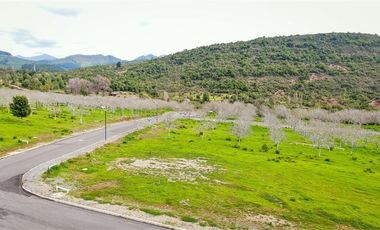 Sitio en Venta en Camino la guardia