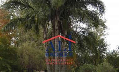 Casa - Campo Grande