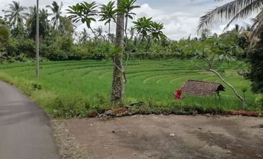 For sale terraced rice fields in Tabanan Bali
