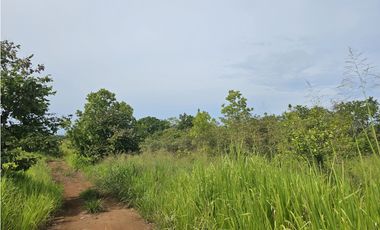 Se Vende Finca de 250 Hectáreas en Veraguas