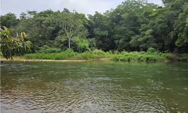 Se Vende Finca de 250 Hectáreas en Veraguas