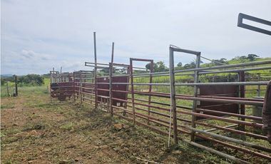 Se Vende Finca de 250 Hectáreas en Veraguas