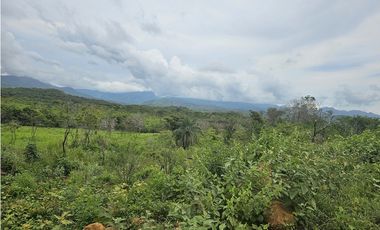 Se Vende Finca de 250 Hectáreas en Veraguas