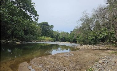 Se Vende Finca de 250 Hectáreas en Veraguas
