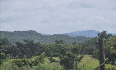Se Vende Finca de 250 Hectáreas en Veraguas