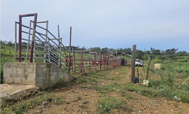 Se Vende Finca de 250 Hectáreas en Veraguas