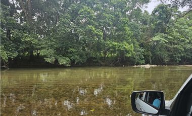 Se Vende Finca de 250 Hectáreas en Veraguas
