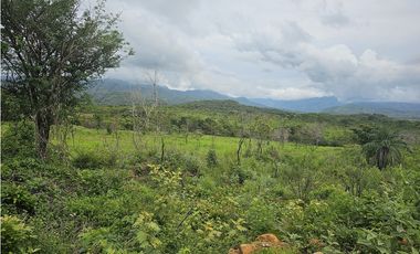 Se Vende Finca de 250 Hectáreas en Veraguas