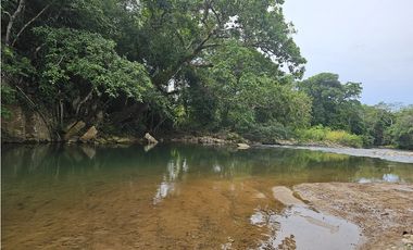 Se Vende Finca de 250 Hectáreas en Veraguas