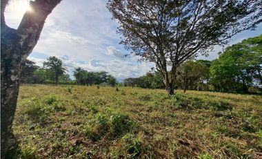 TINAJA, TERRENO HABITACIONAL / URBANIZABLE EN VENTA.