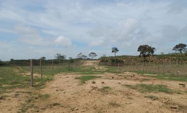 lote en arriendo/venta en los almendros. Cod A93078