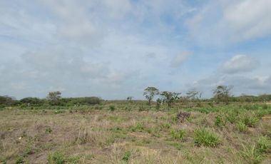 lote en arriendo/venta en los almendros. Cod A93078