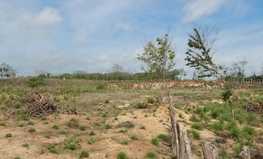 lote en arriendo/venta en los almendros. Cod A93078