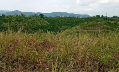 257 Sqm Residential Lot for Sale in Vista Verde Consolacion Cebu with Mountain View