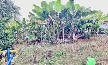 casa campestre en venta en dapa. Cod V7470408