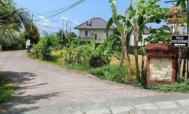 Tanah Strategis Canggu - Pererenan