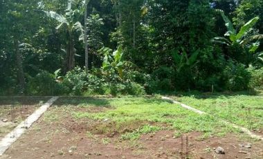 Tanah Kavling Cluster Dekat Pasar Pandeglang