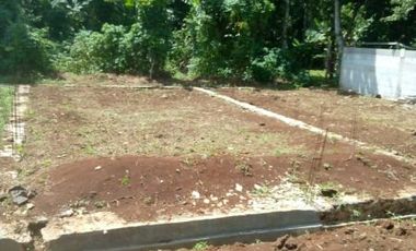Tanah Kavling Cluster Dekat Pasar Pandeglang