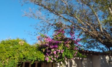 Casa en venta en Ameghino