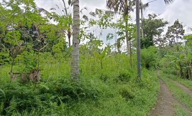 Land for sale with jungle view near the Novotel Ubud Resort Suite Hotel