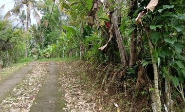 Land for sale with jungle view near the Novotel Ubud Resort Suite Hotel