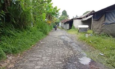 Land for sale with jungle view near the Novotel Ubud Resort Suite Hotel