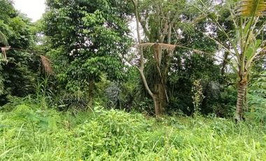 Land for sale with jungle view near the Novotel Ubud Resort Suite Hotel