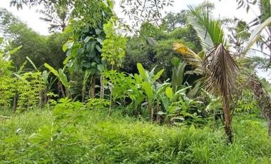 Land for sale with jungle view near the Novotel Ubud Resort Suite Hotel