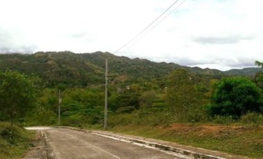 Overlooking 204 Sqm Lot for Sale in Greenwoods near Talamban Cebu City with Mountain View