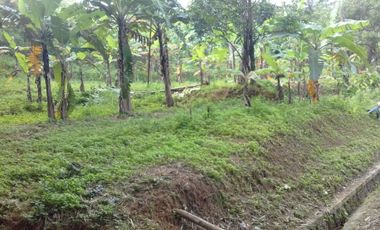 Jual Tanah 100 Hektar Kawasan Industri Di Cikembar Sukabumi