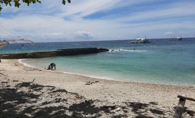 Beach Lot for Sale in Tan-awan, Oslob, Cebu
