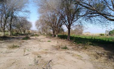 Quinta - Guiñazu