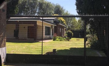 Quinta - Guiñazu