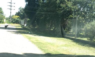 Quinta - Guiñazu