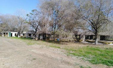 Quinta - Guiñazu