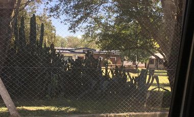 Quinta - Guiñazu
