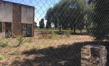 Quinta - Guiñazu